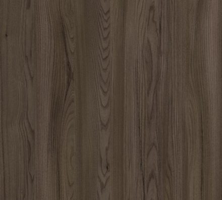 Michigan Elm [4019]