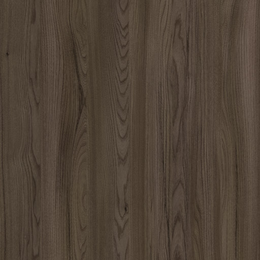 Losse neus Michigan Elm [4019] - 1 meter